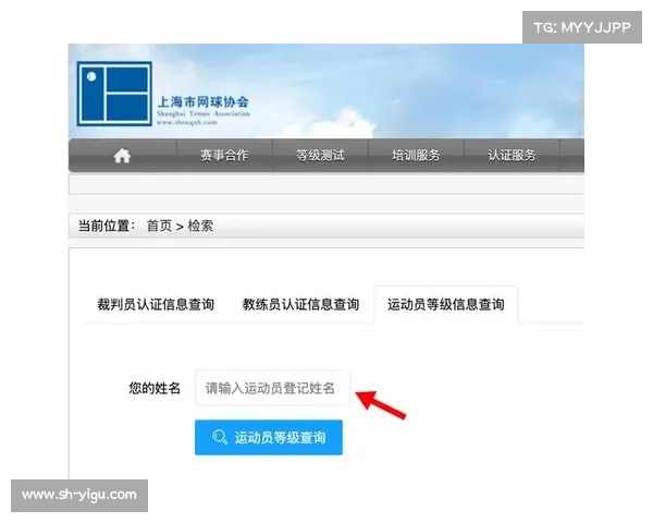 业余网球赛事级别-网球公开赛级别 业余网球赛事级别-网球公开赛级别